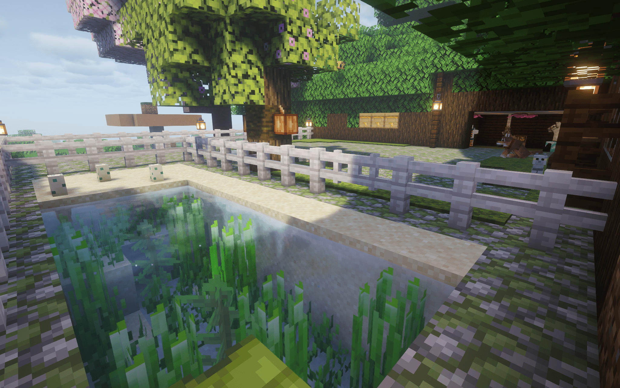 The new Turtle and Salmon pond, with Turtle eggs in sight