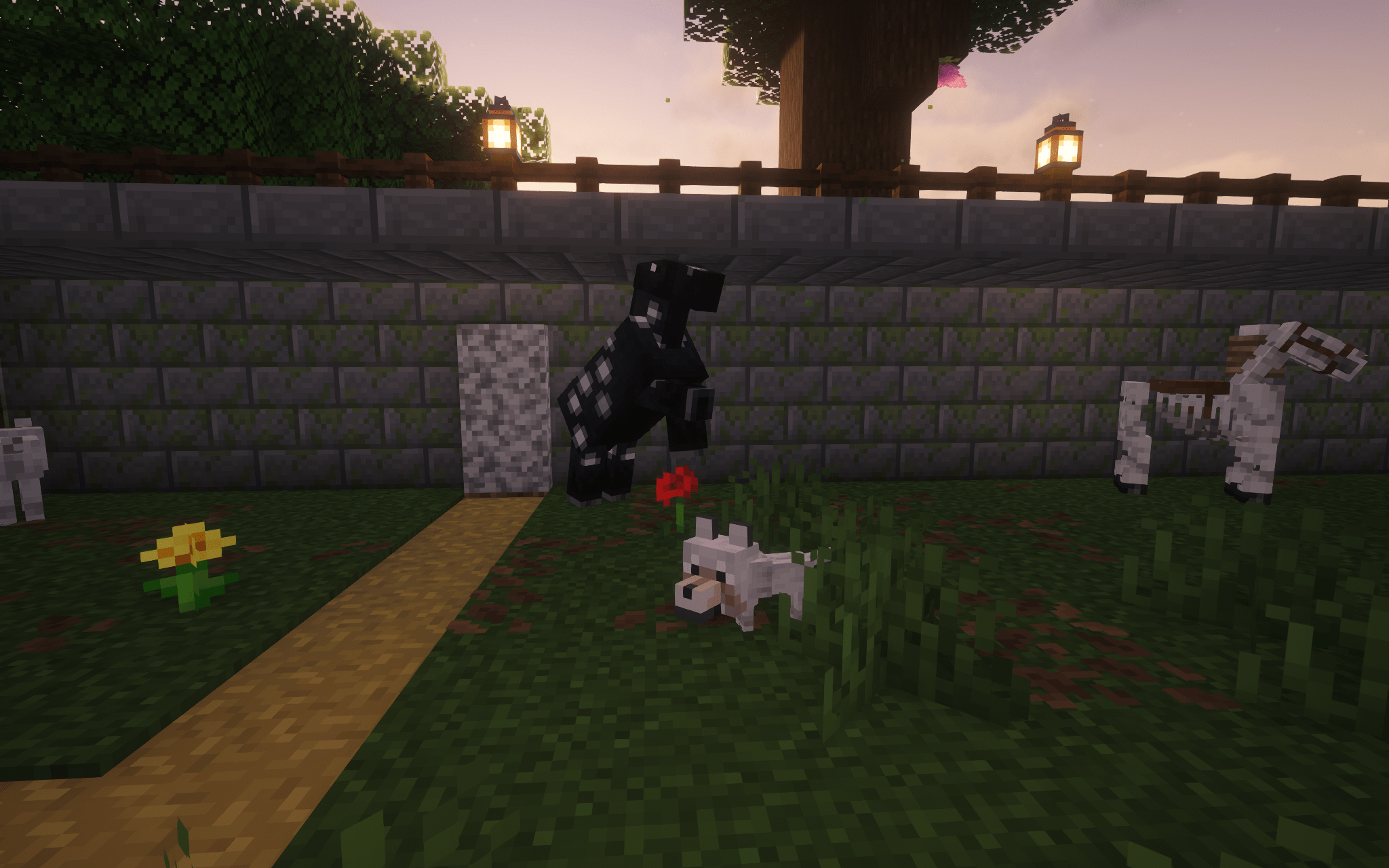 Pale Wolf pup hiding in grass