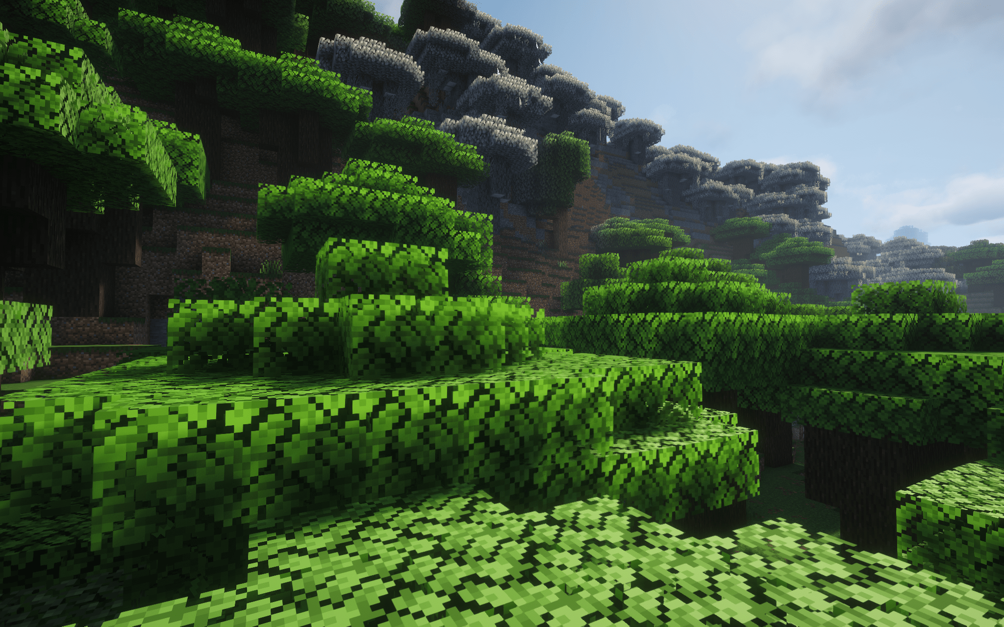 Selected spot for residence, view from up in the trees